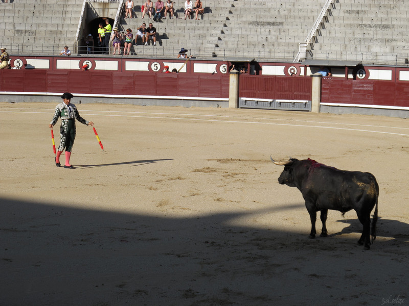 Madrid Las Ventas Corrida de toros
